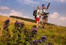 Hike in summer