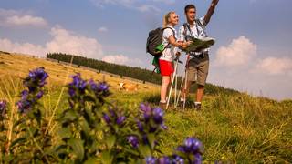Trail of 100,000 steps / Hiking / Styria