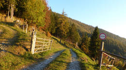 At the Patscha