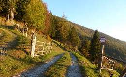 Path along the Patscha