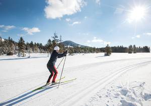 Cross-country skiing / Winter vacation / Trails