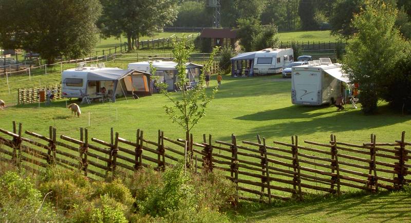 Camping site with the Wild family