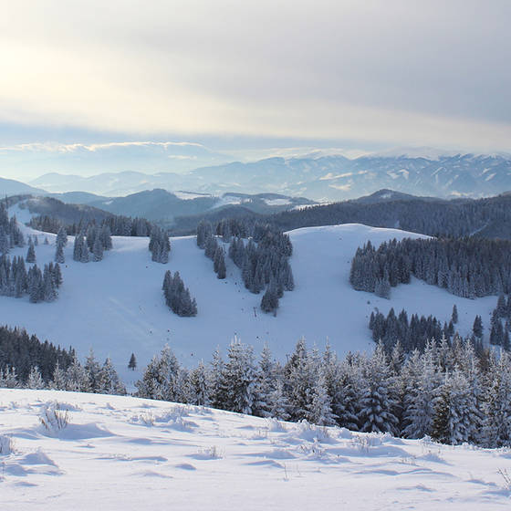 Winter panorama