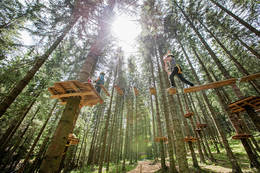 Different heights in the Alm Adventure Park