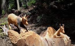 Wooden sculpture trail on the Nechnitz