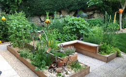 Herb beds in the herb workshop