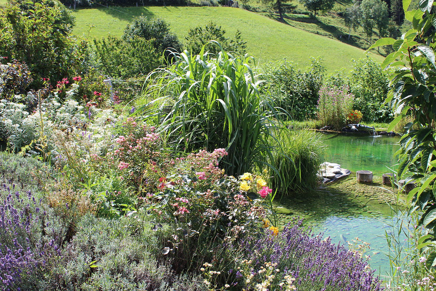 Garden at the Pöllabauer