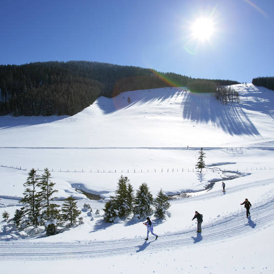 Cross-country skiing along the Mixnitzbach stream