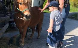 Stroking ponies on the farm