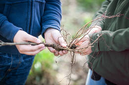 Live and experience the forest at Natuwelten Steiermark