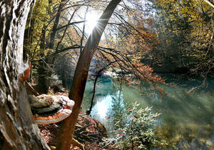 Raabklamm Gorge / Natura 2000 area / Styria