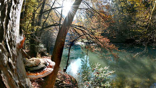 Raabklamm Gorge / Natura 2000 area / Styria