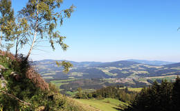 View of the Fischbach Alps