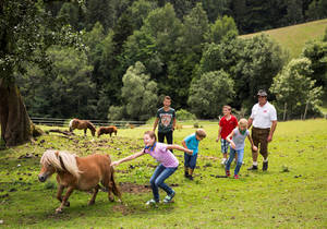 Farm Holidays