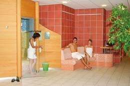 Steam bath and sauna in the Joglland Oasis