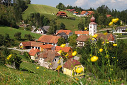 Hiking trail around Koglhof in the municipality of Birkfeld