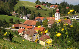 Hiking trail around Koglhof in the municipality of Birkfeld