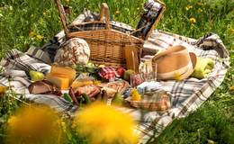 Picnic in the dandelion meadow