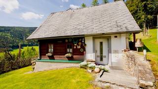 Haus Wildblick / Holiday home / Nature park