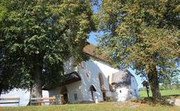 Lime trees in front of the church
