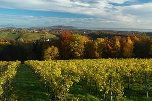 Southern Styria Nature Park