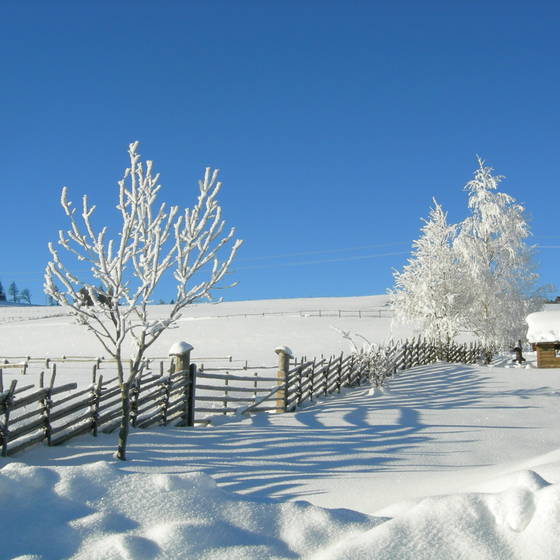 Winter landscape with ribbon fence