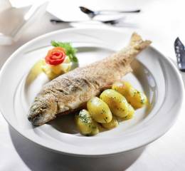 Gasthof Donner fish specialties