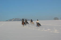 Winter ride at the Stockner horse farm