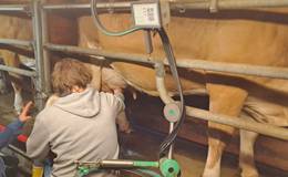 Organic farm Eibisberger Milking