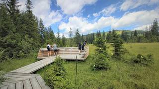 Moor nature trail / Teichalm / Nature Park