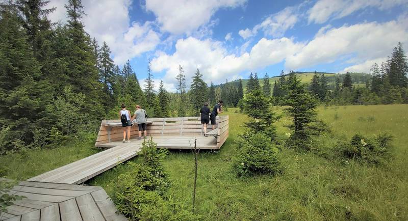 Moor nature trail