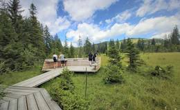 Moor nature trail on the Teichalm