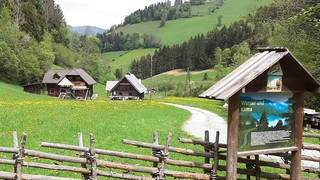 Mühlenpanoramaweg / Gasen / Hike