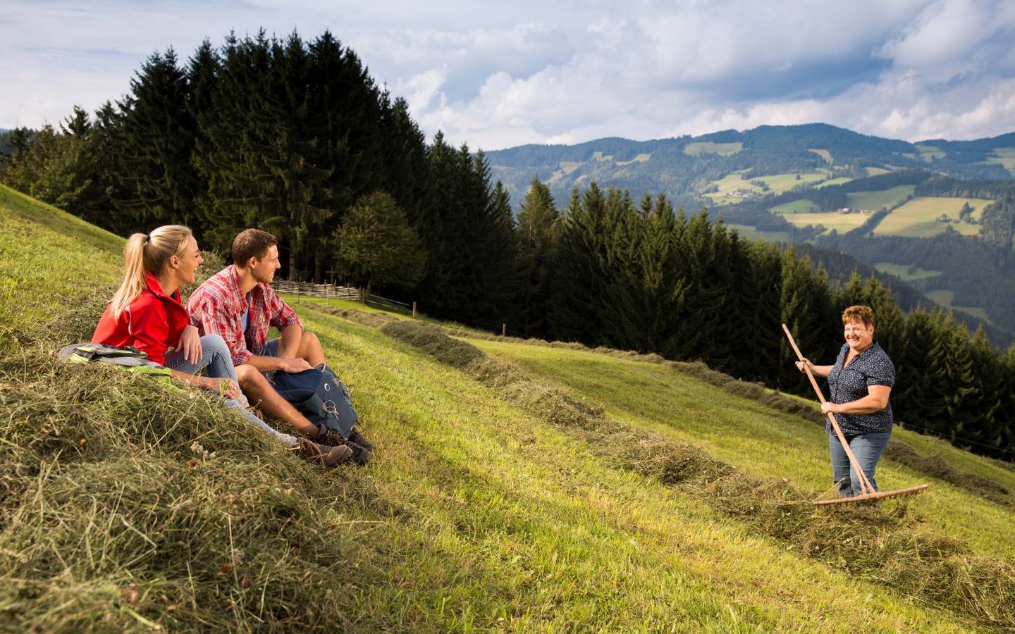 Hay harvest over gases