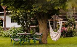 Garden with hanging chair