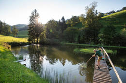 Fish pond in the nature park Almenland