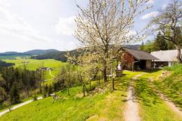 Access to Haus Wildblick