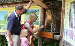 The show area of the Kreiner apiary