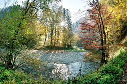 The Raabklamm gorge in fall