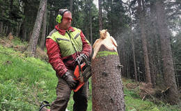 Woodcarver Erich Haider-Harrer