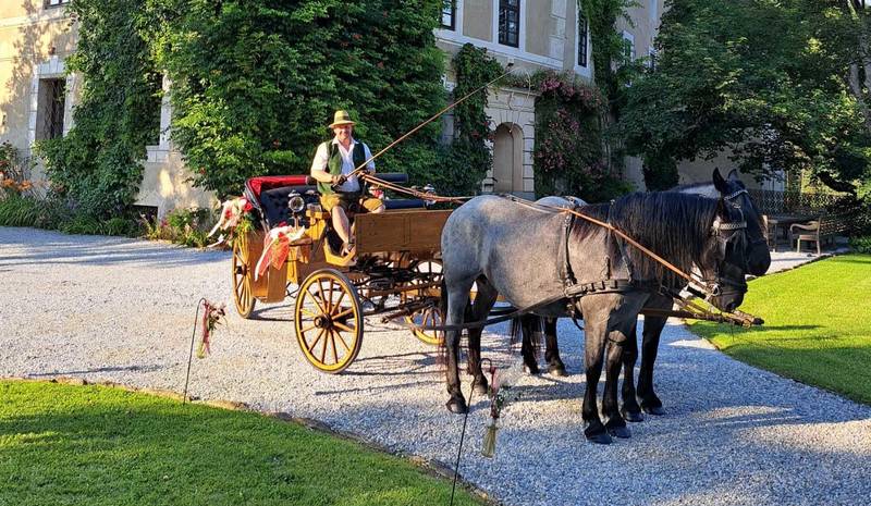 Carriage rides with the Friedl family in the Almenland Nature Park.