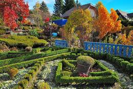 The Sulamith box garden