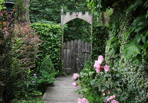 Gardens-Flowers-Herbs / Products / Nature Park