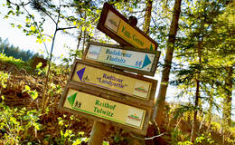 Signpost tree on the Tulwitz circuit