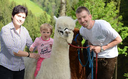 The Stelzer family with the alpacas