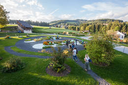 In the herb garden in the herb kingdom