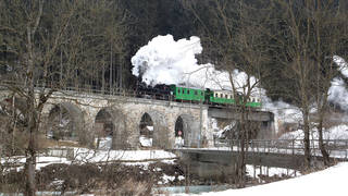 Feistritztalbahn / Weiz Birkfeld / Styria