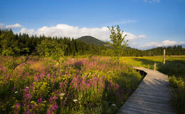 Teichalm moor
