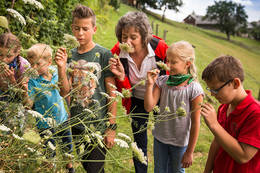 Varied offers in the nature experience program 