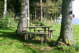 Vogelbeer-Wandertag Lärchenwiese im Naturpark Almenland